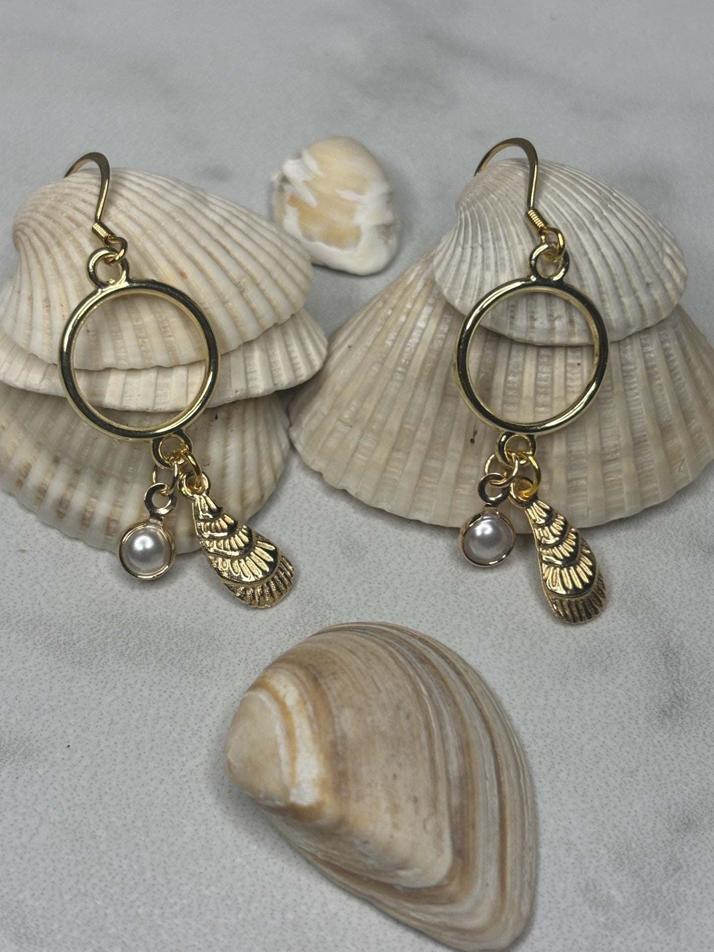 LUNA SHELL