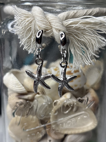STARRY SHORES