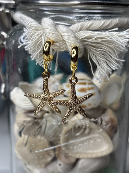STARRY SHORES