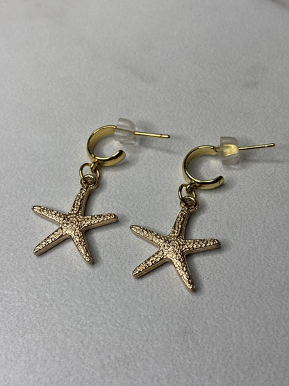 STARRY SHORES